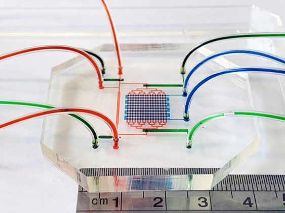 Tubes filled with coloured liquid join a microfluid device set in perspex