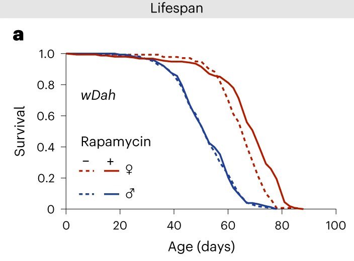 Rapamycin.jpg